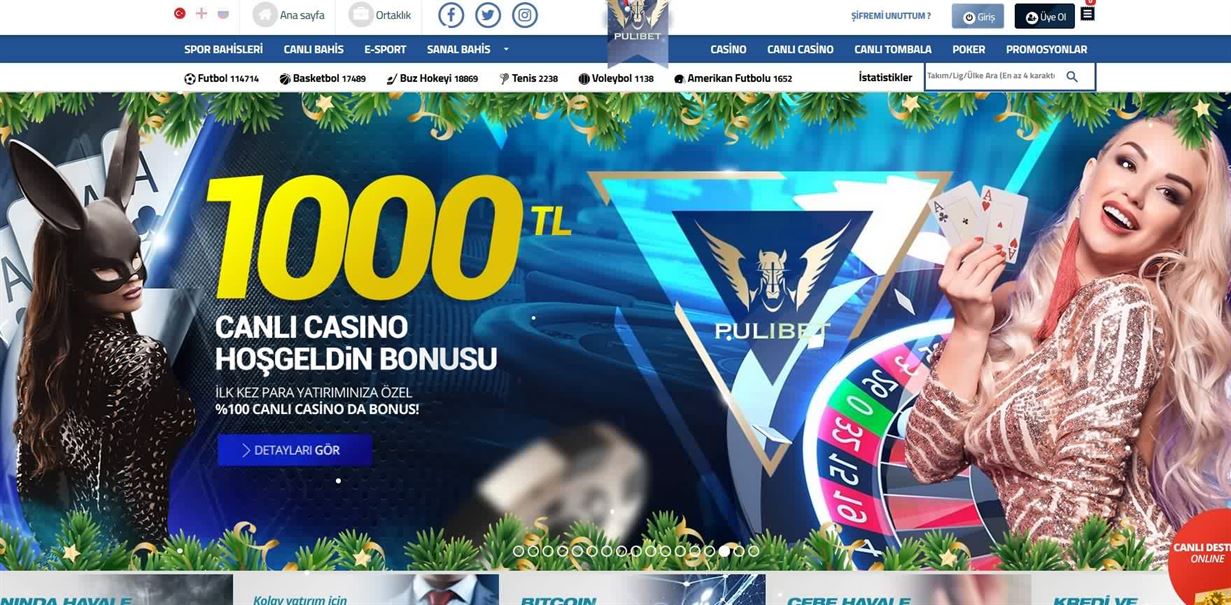 Pulibet Yeni Adresi turk