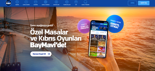 Baymavi Giriş